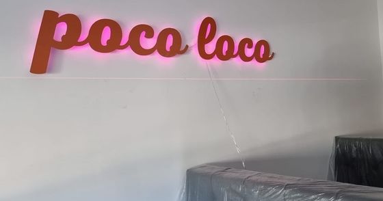 Indicateur d'éclairage à LED métallique personnalisé