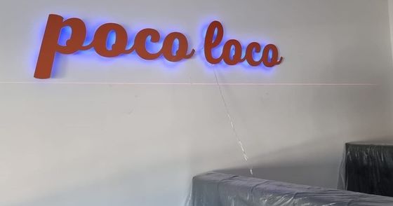 Indicateur d'éclairage à LED métallique personnalisé
