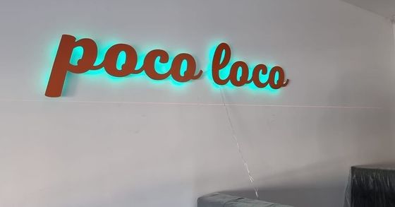 Indicateur d'éclairage à LED métallique personnalisé