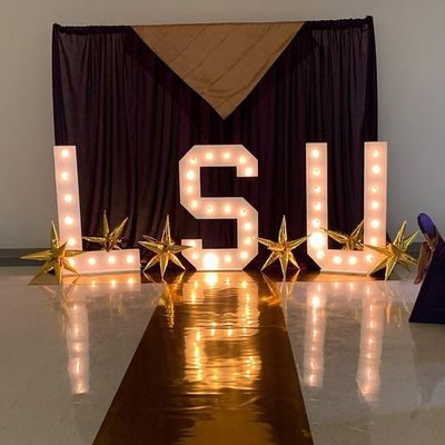 Hôtels Décoration de magasins Lumières Petites lettres de marquage à LED avec 12V Voltage d'entrée Marquage Sign