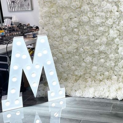 Des lettres de mariage personnalisées 12V Voltage d'entrée Décoration de fête avec des lumières