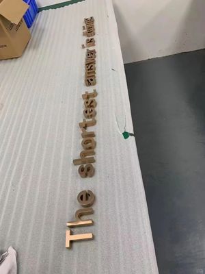 Publicité en or 3D LED Signes électroniques pour le logo de la boutique
