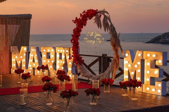 Marquise de mariage éclaire les lettres Signe au néon pour la décoration personnalisée