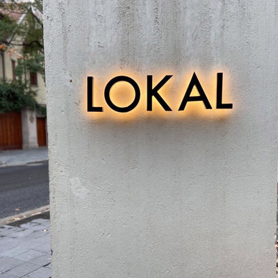Snow Outdoor LED Channel Signage Lettre LED 3D personnalisée pour la publicité et le spa
