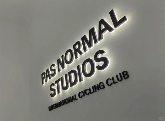 Snow Outdoor LED Channel Signage Lettre LED 3D personnalisée pour la publicité et le spa
