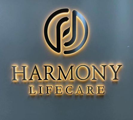 Logo des lettres murales de bureau en LED 3D pour la signalisation publicitaire commerciale métallique personnalisée