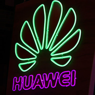 Lumières au néon IP68 LED personnalisées