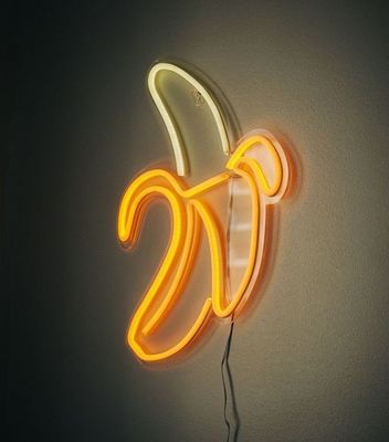 Publicité Silica Logo personnalisé Neon Light Signe de mariage avec bandes LED