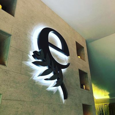 Signes métalliques fabriqués sur mesure avec une lettre en aluminium brossé et un éclairage arrière LED