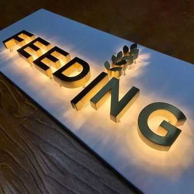 12V LED bandes acrylique en acier inoxydable lettres personnalisées Business panneaux extérieurs